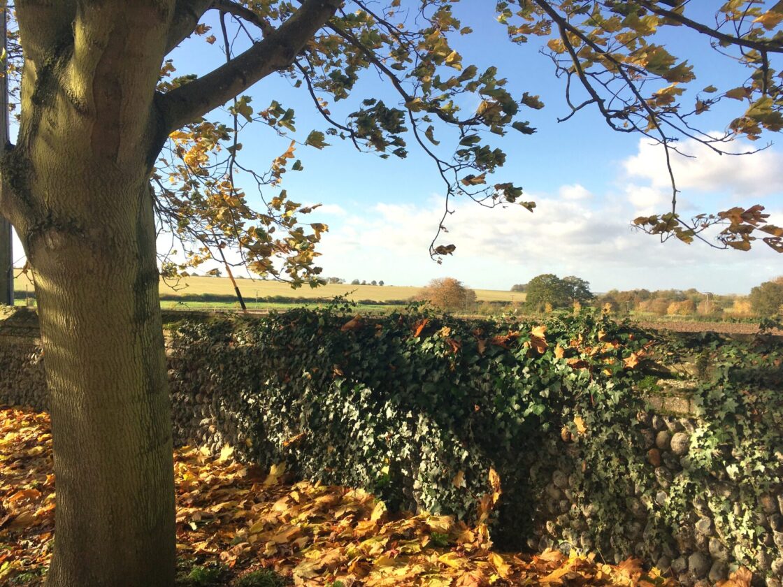 The view across the fields from the churchyard