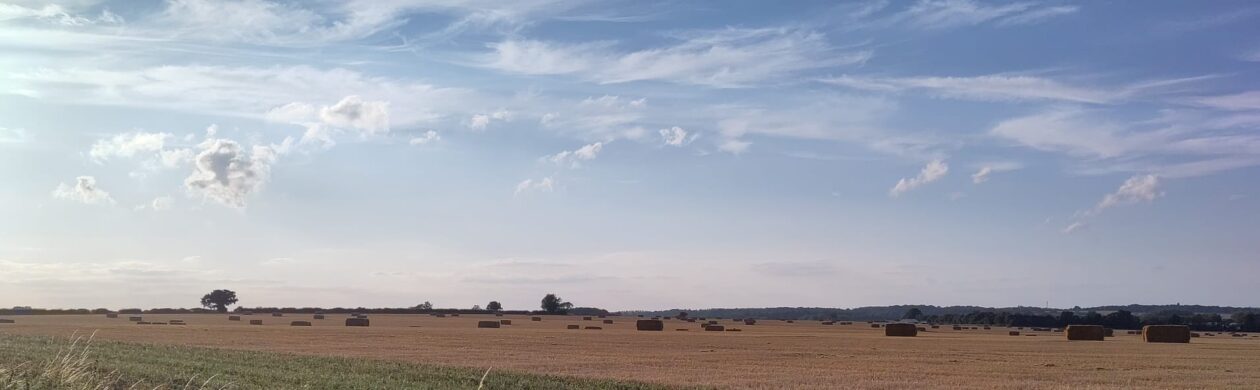 The wide open arable landscape around the Charlie's Aunt pattern studio, photographed post-harvest